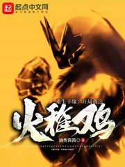 (精灵宝可梦同人)重生丰缘:开局我选火稚鸡